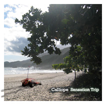 [calliope - sensation trip (2009)]